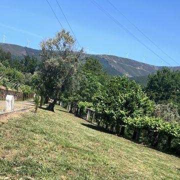 GW serviços técnicos - Alvaiázere - Limpeza Após Mudanças