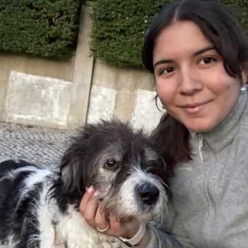 Beatriz Pereira - Lisboa - Garde de chat
