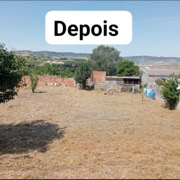 Os Castores - Arruda dos Vinhos - Gardening