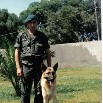 Couto - Marco de Canaveses - Animal Training and Behavior Modification (Non-canine)