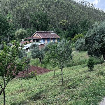 GW serviços técnicos - Alvaiázere - Limpeza da Casa (Recorrente)
