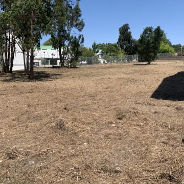 Luís Emanuel Vieira unipessoal Lda - Alcobaça - Shrub Removal