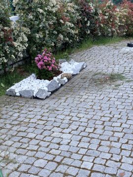 Jardinagem