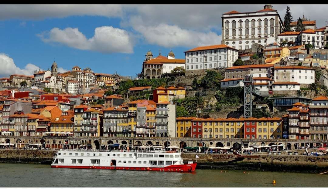 Fábio - Porto - Floor Tiling