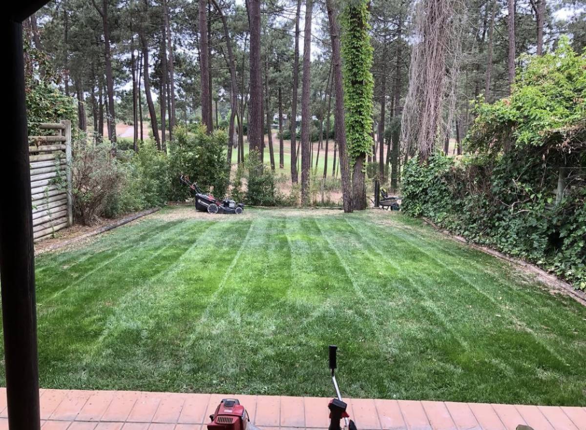 BGarden - Jardins e Espaços Verdes - Setúbal - Jardinagem e Relvados