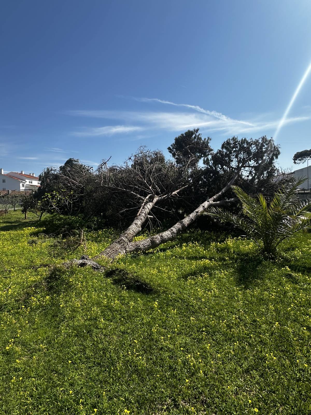 HUGO & RAMOS ARBORISTA - Leiria - Instalação de Sistema de Irrigação