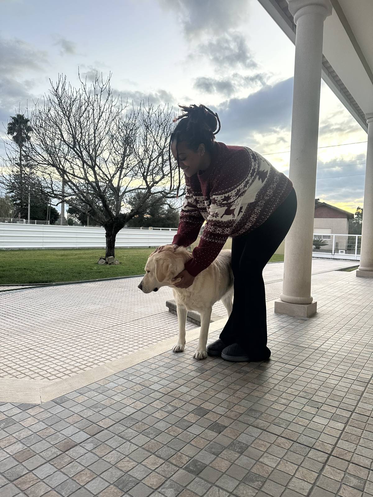 Alessandra - Lisboa - Hundeausführung