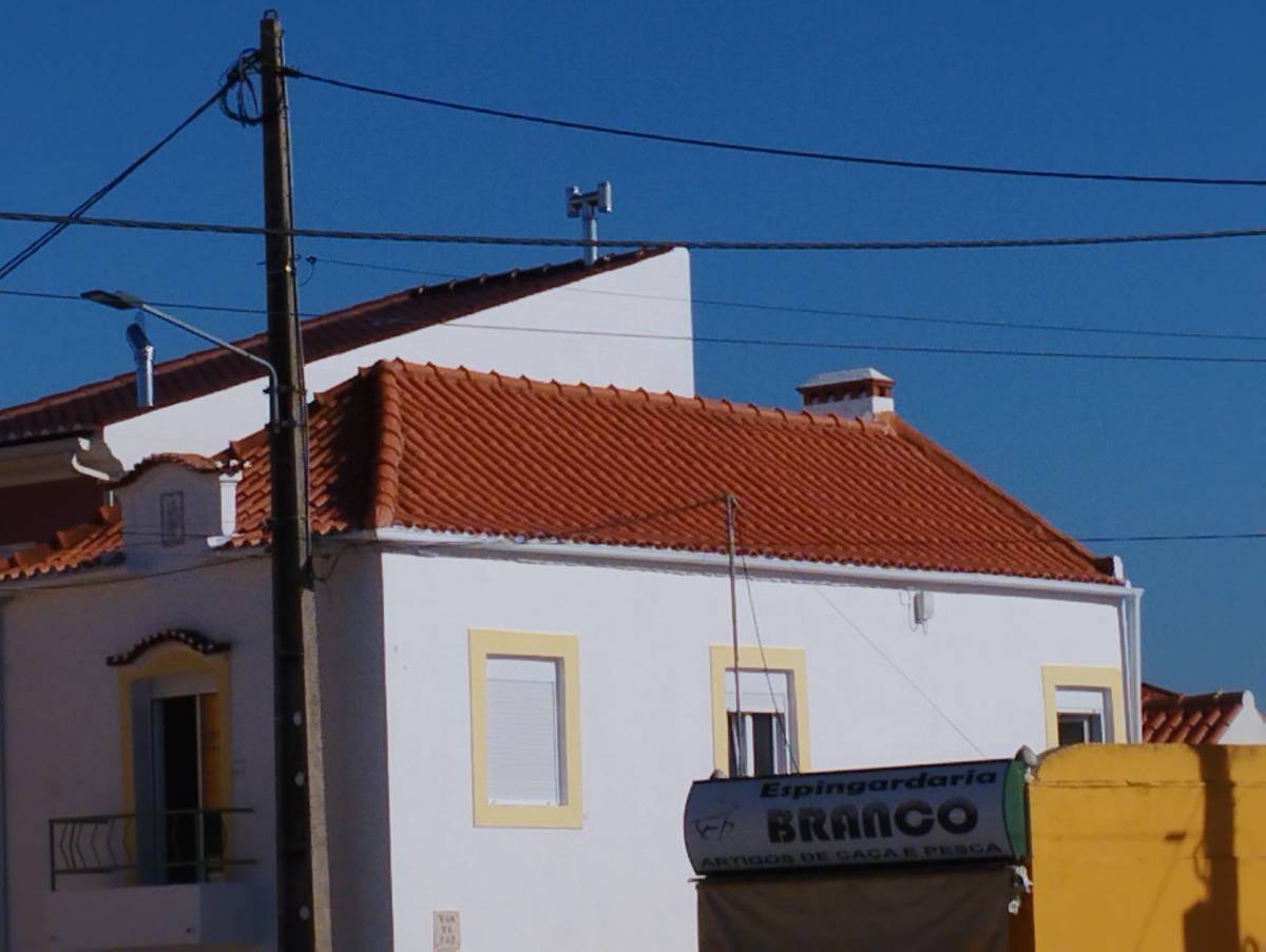Pierre Marques - Loures - Poda e Manutenção de Árvores