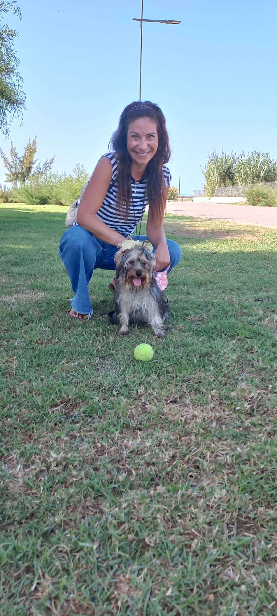 Carla Susana - PÊLO amor aos cães - Faro - Baths and Grooming for Animals