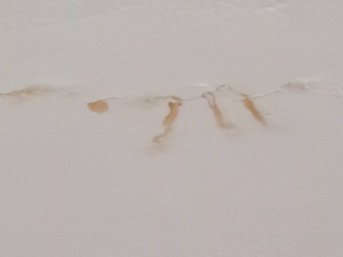 Impermeabilização da Casa