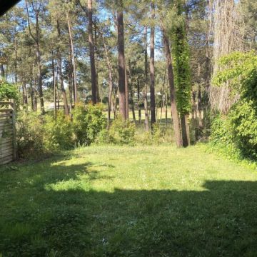 BGarden - Jardins e Espaços Verdes - Setúbal - Instalação de Sistema de Rega Gota a Gota