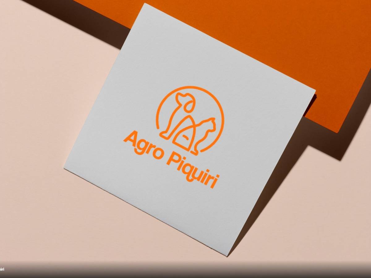 Paulo Armani - Lisboa - Video Transfer Services
