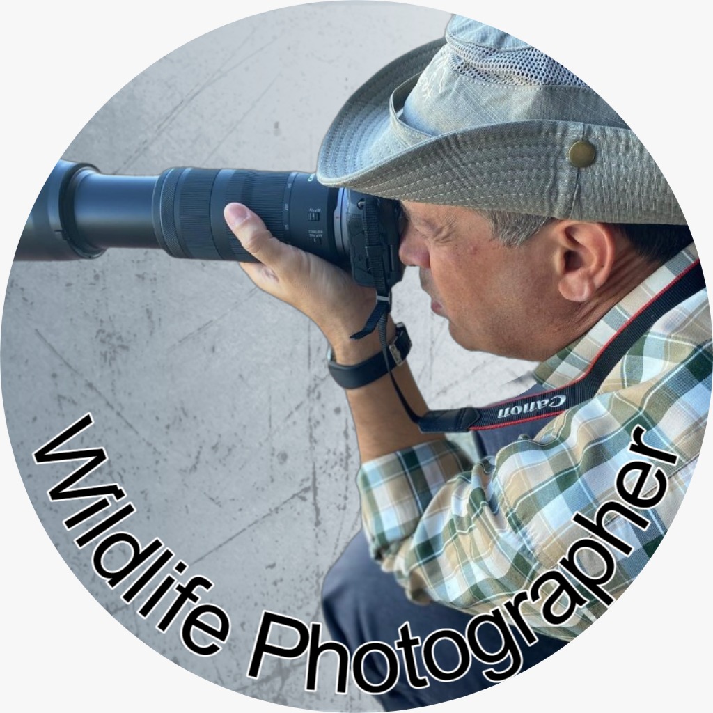 Pedro Lopes - Loures - Businessfotografie