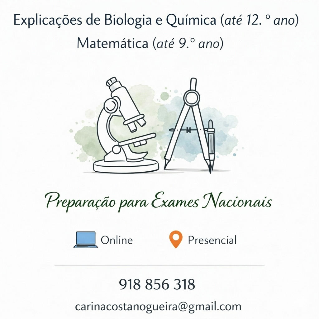 Carina Costa Nogueira - Coimbra - Basic Math Tutoring