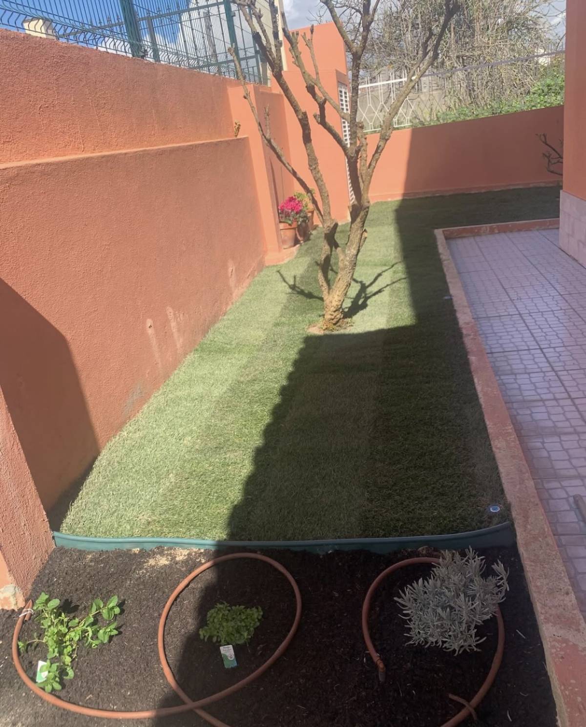 BGarden - Jardins e Espaços Verdes - Setúbal - Tratamento de Relvado