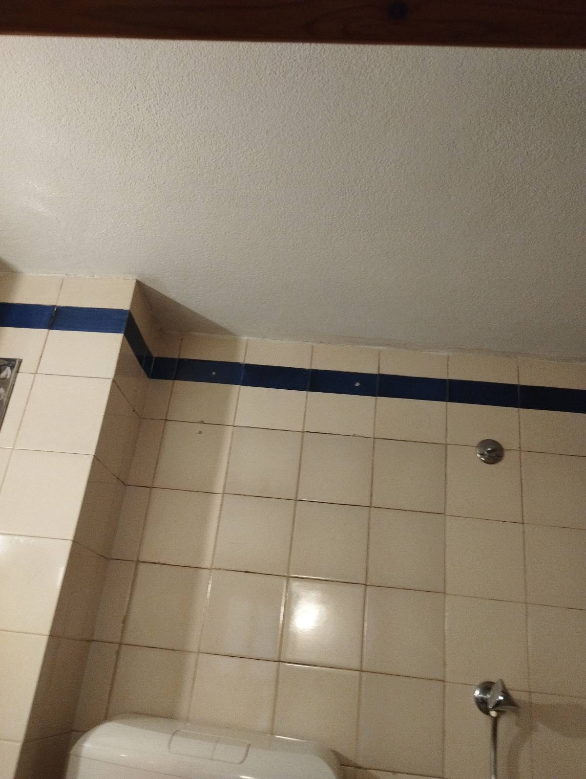 Anowar Molla - Lisboa - Floor Tiling