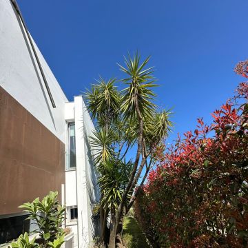 HUGO & RAMOS ARBORISTA - Leiria - Limpa-neves (Residencial)