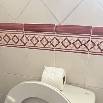 Limpeza - Alcácer do Sal - Limpeza de Propriedade