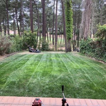 BGarden - Jardins e Espaços Verdes - Setúbal - Jardinagem e Relvados
