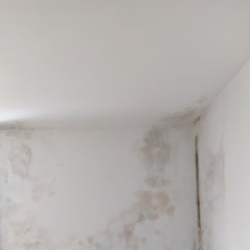 Ricardo Garcia - Oliveira do Bairro - Pintura