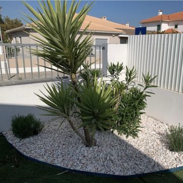 BGarden - Jardins e Espaços Verdes - Setúbal - Tratamento de Relvado