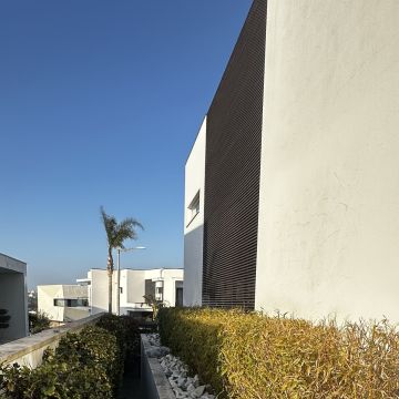 HUGO & RAMOS ARBORISTA - Leiria - Plantação de Árvores