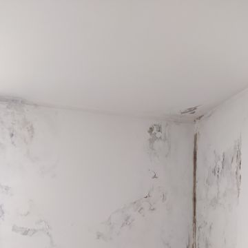 Ricardo Garcia - Oliveira do Bairro - Pintura de Portas