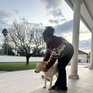 Alessandra - Lisboa - Hundeausführung