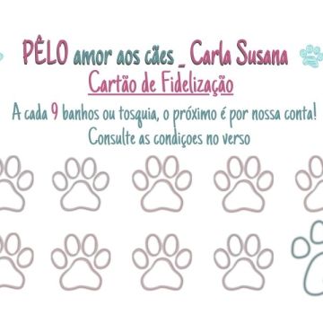 Carla Susana - PÊLO amor aos cães - Faro - Baths and Grooming for Animals
