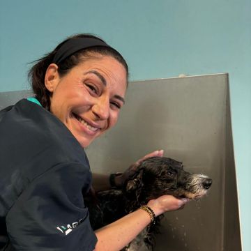 Carla Susana - PÊLO amor aos cães - Faro - Dog Sitting
