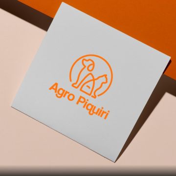 Paulo Armani - Lisboa - Video Transfer Services