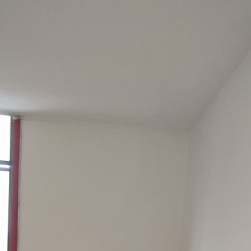 Ricardo Garcia - Oliveira do Bairro - Pintura de Casas