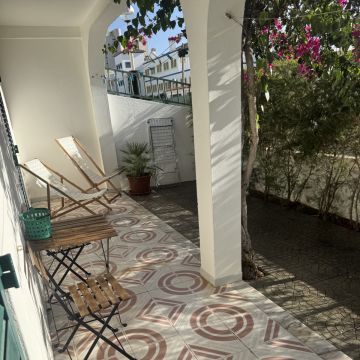 Mi silva - Vila Real de Santo António - Tree Trimming and Maintenance