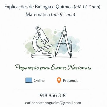 Carina Costa Nogueira - Coimbra - Basic Math Tutoring