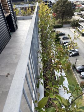 Serviço de Jardinagem