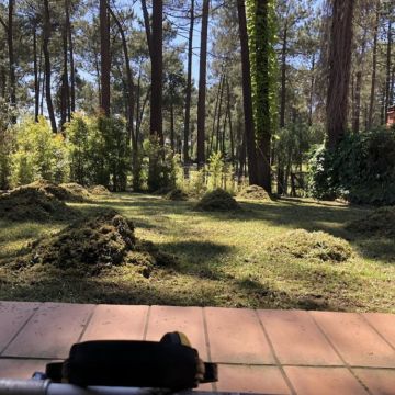 BGarden - Jardins e Espaços Verdes - Setúbal - Corte e Aparação de Relvado