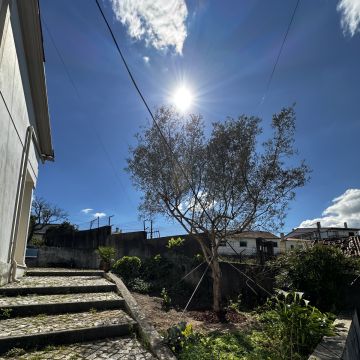 HUGO & RAMOS ARBORISTA - Leiria - Instalação de Sistema de Rega Gota a Gota