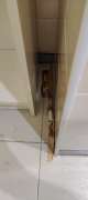 Carpenter