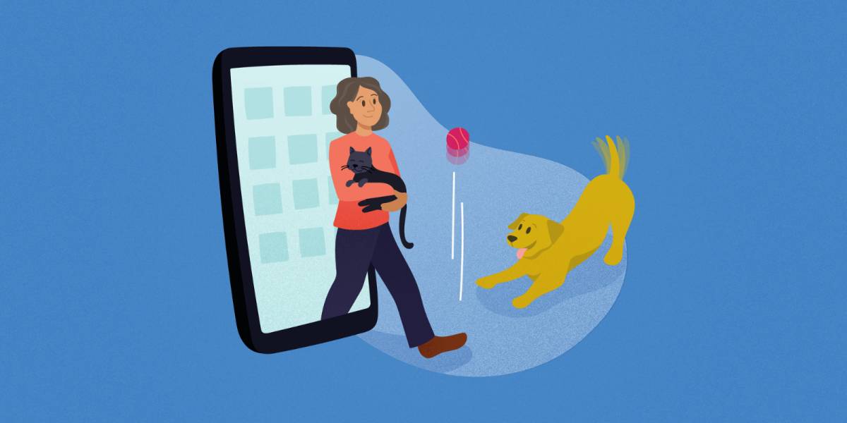 Pet Sitting e Pet Walking - Seixal - Pet Sitting