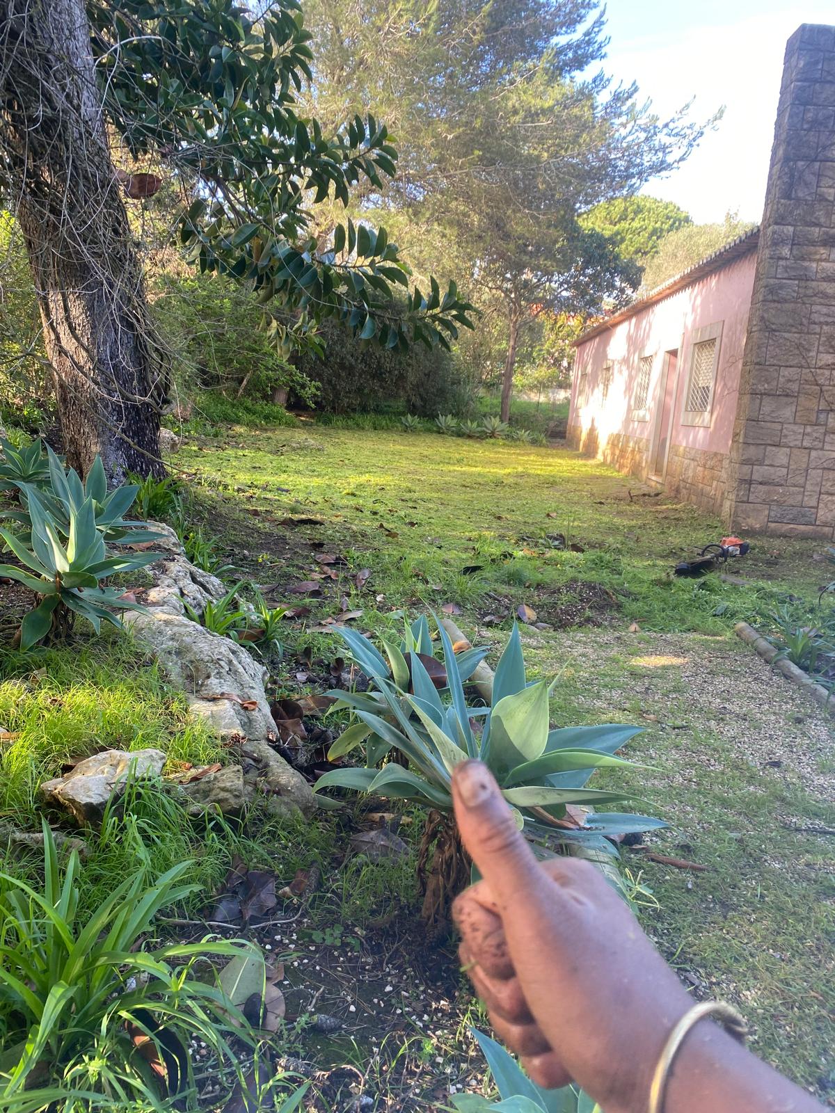 A.AJardins Obras & Controções - Montemor-o-Velho - Lawn Mowing and Trimming