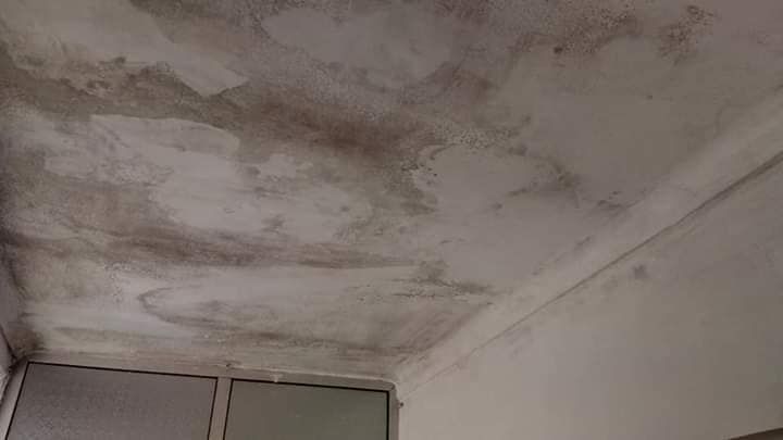Ari Guerreiro - Sintra - Pintura de interiores