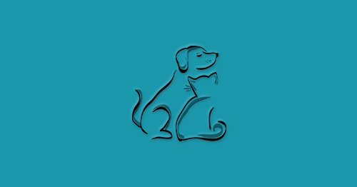 Pet Sitting e Pet Walking - Seixal - Haustierpflege