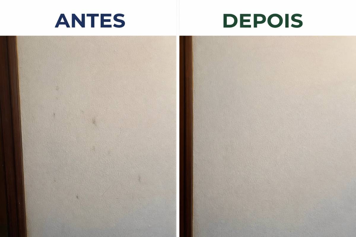 Marta Carvalho - Santarém - Limpeza de Propriedade
