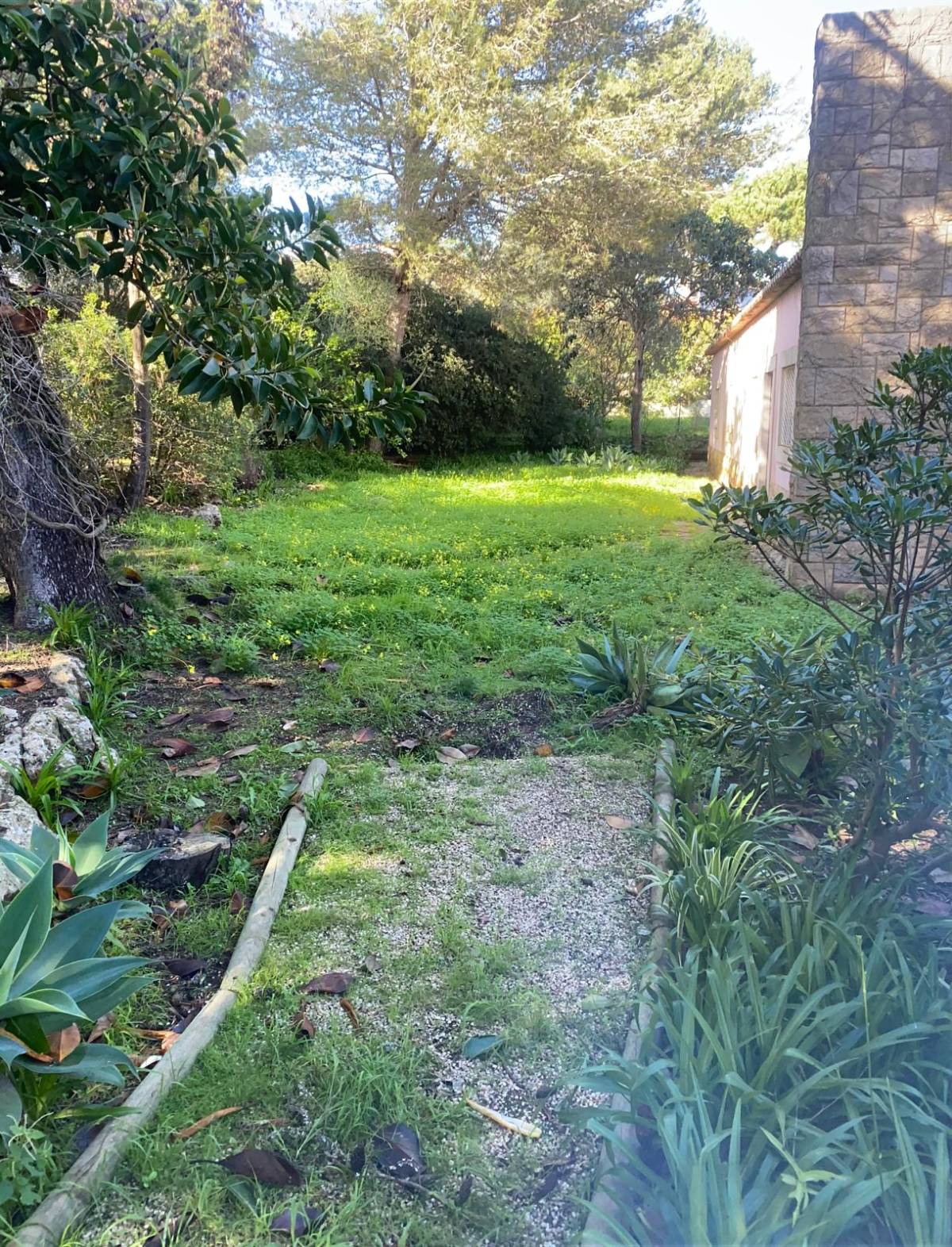 A.AJardins Obras & Controções - Montemor-o-Velho - Outdoor Landscaping