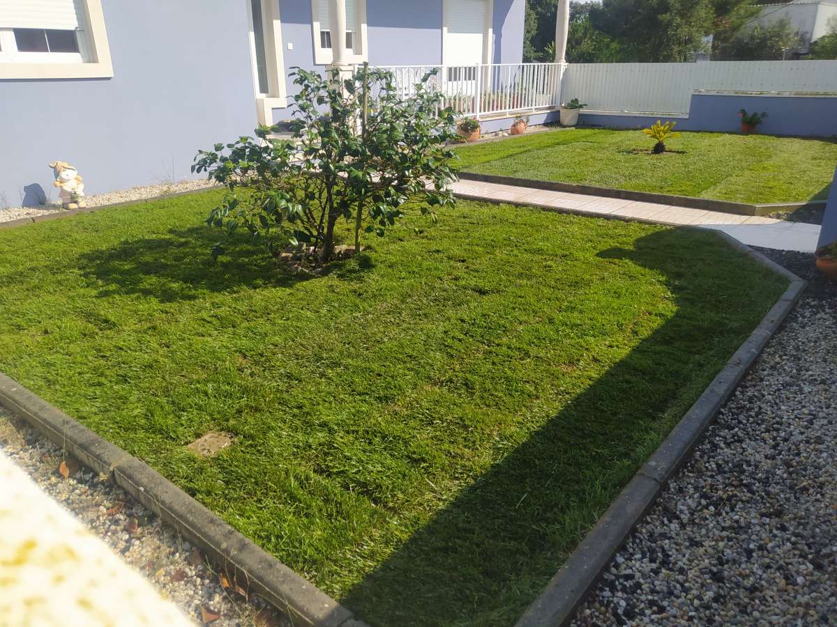 DS REPARA - Óbidos - Weeding