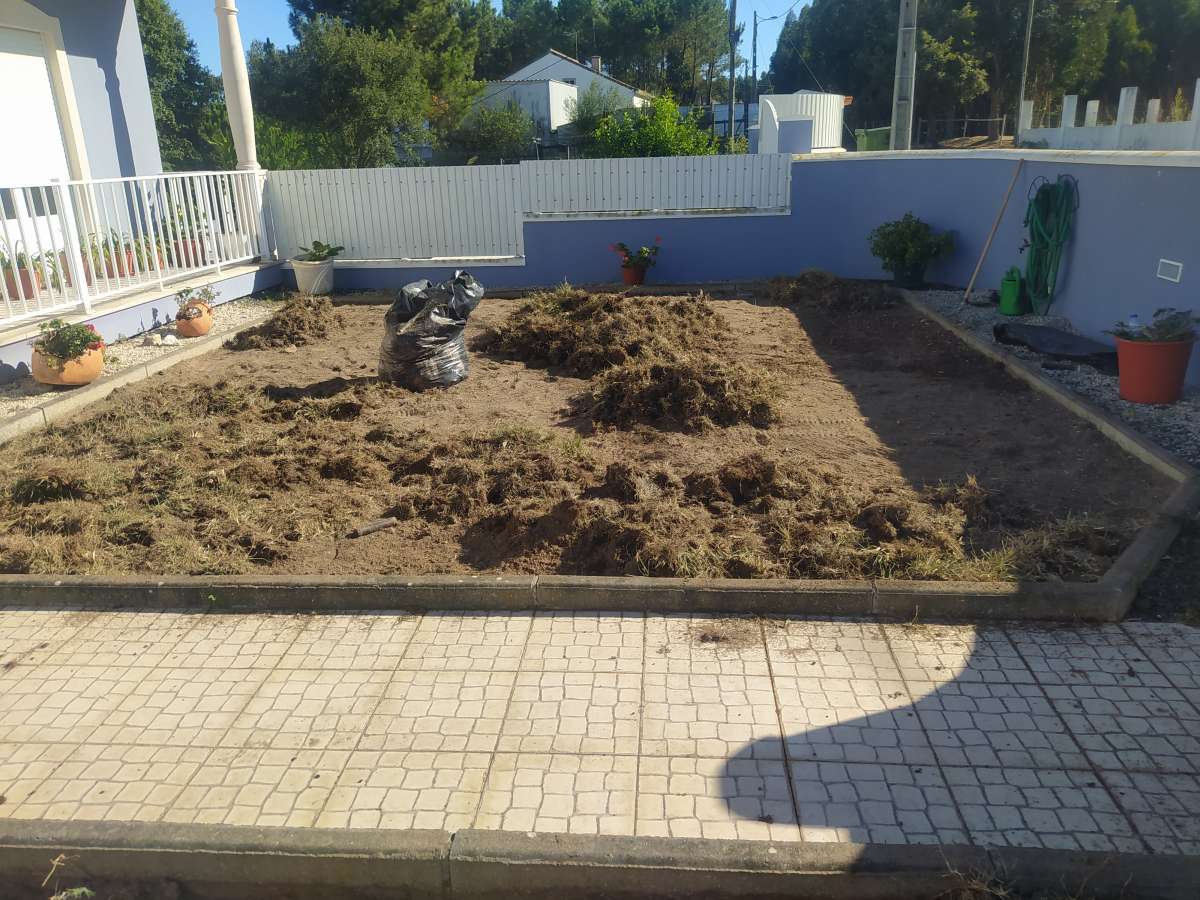 DS REPARA - Óbidos - Multi Service Lawn Care