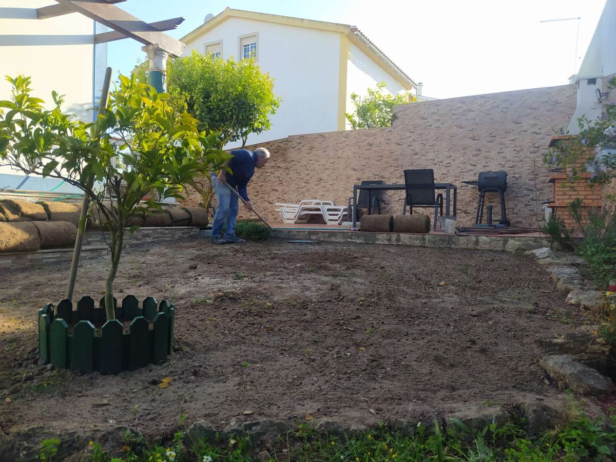 DS REPARA - Óbidos - Tree Stump Grinding and Removal