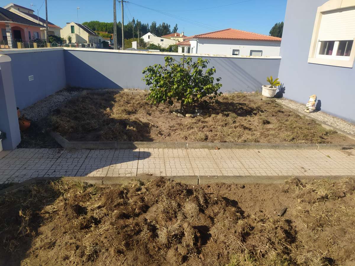 DS REPARA - Óbidos - Gardening