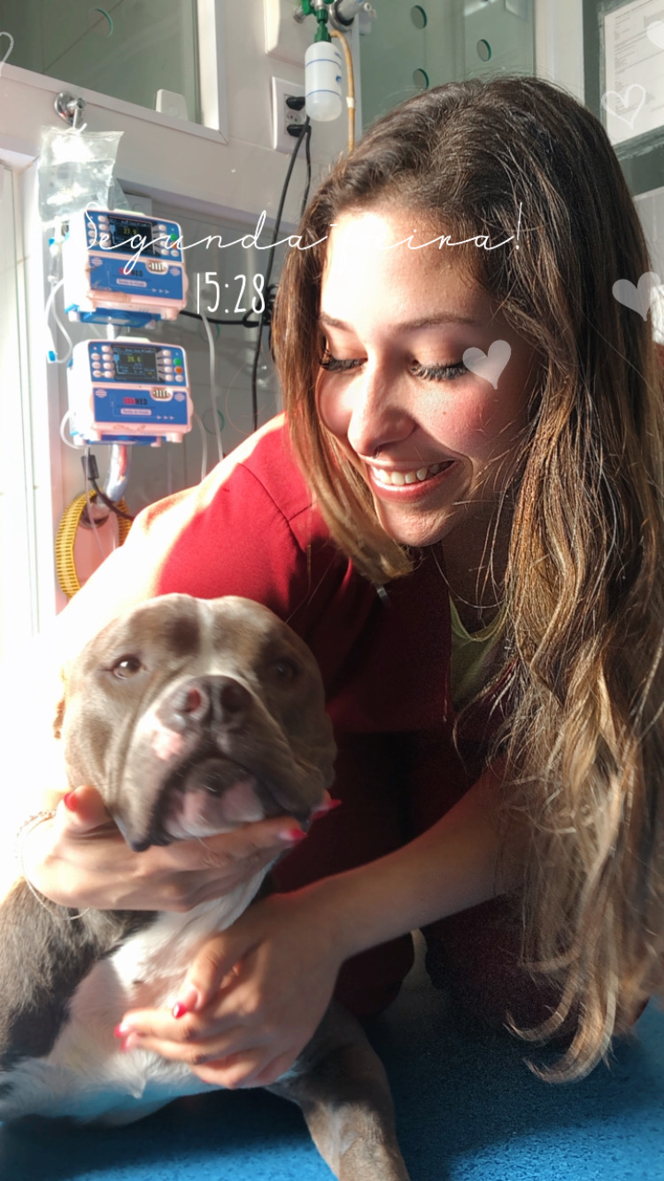 Leticia Porto - Coimbra - Hundetagesstätte (Hundesitter)