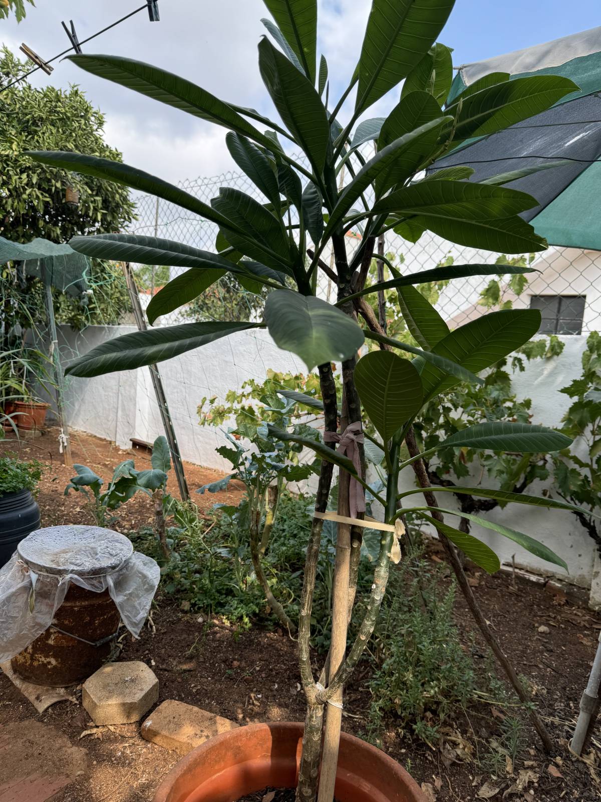 Wanderlan serviços de montagem mobiliário - Silves - Gartenmöbel montieren
